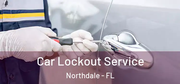 Car Lockout Service Northdale - FL