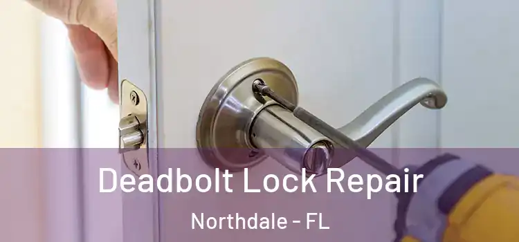  Deadbolt Lock Repair Northdale - FL