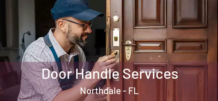Door Handle Services Northdale - FL