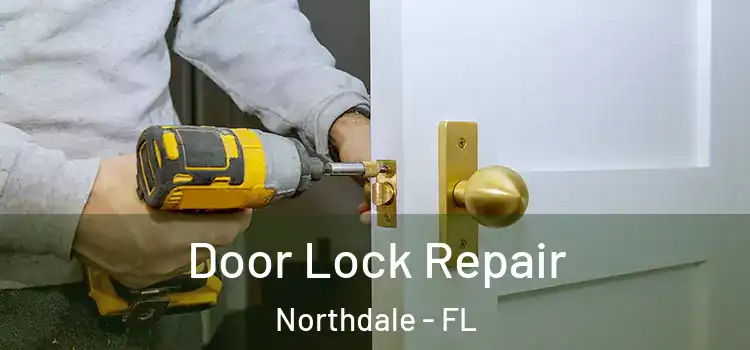  Door Lock Repair Northdale - FL