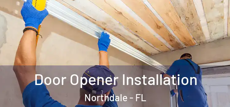  Door Opener Installation Northdale - FL