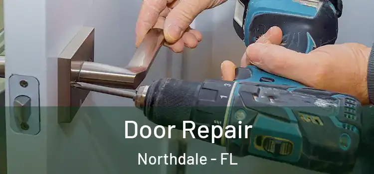  Door Repair Northdale - FL