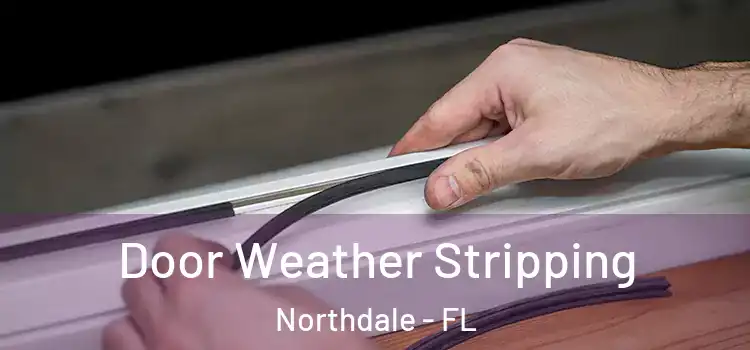  Door Weather Stripping Northdale - FL