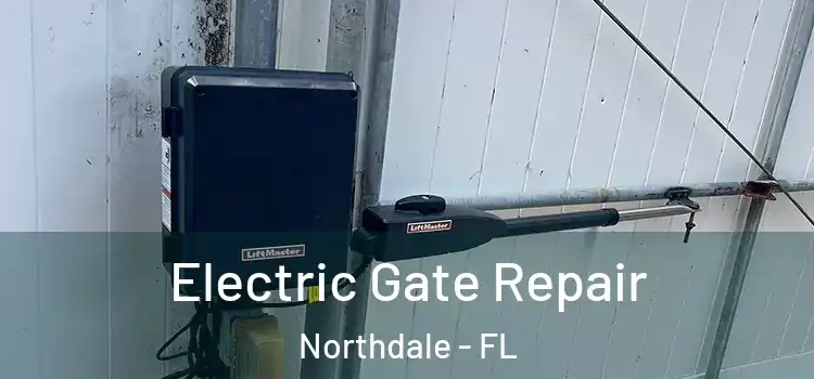  Electric Gate Repair Northdale - FL