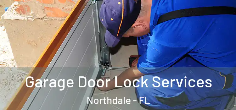  Garage Door Lock Services Northdale - FL