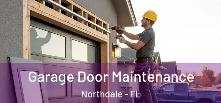  Garage Door Maintenance Northdale - FL