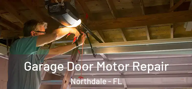  Garage Door Motor Repair Northdale - FL