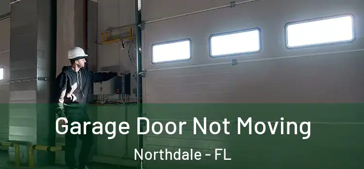  Garage Door Not Moving Northdale - FL