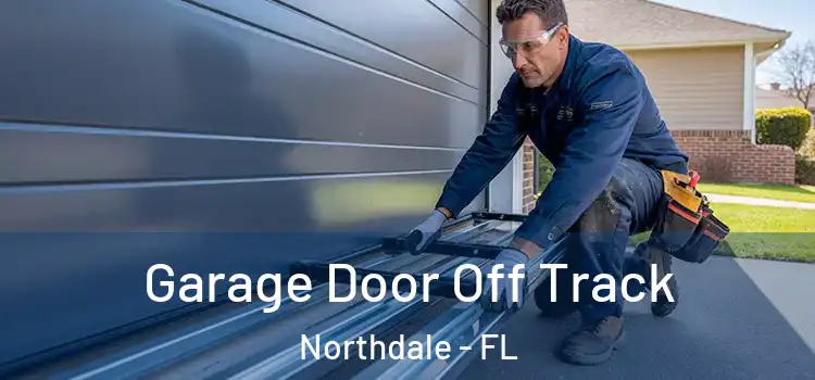  Garage Door Off Track Northdale - FL
