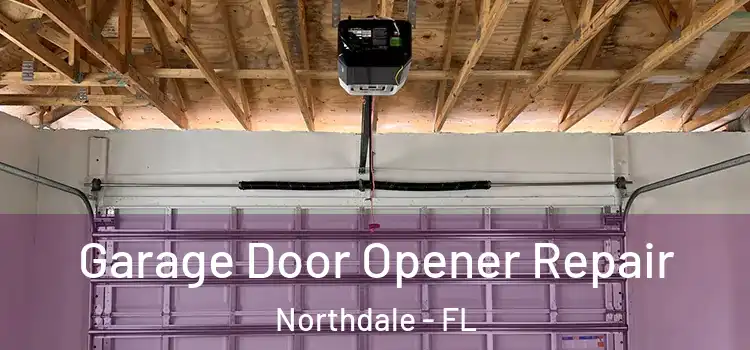  Garage Door Opener Repair Northdale - FL