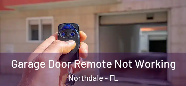  Garage Door Remote Not Working Northdale - FL