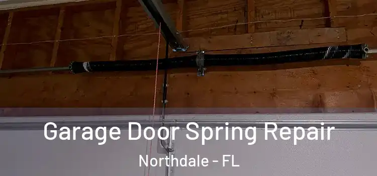  Garage Door Spring Repair Northdale - FL