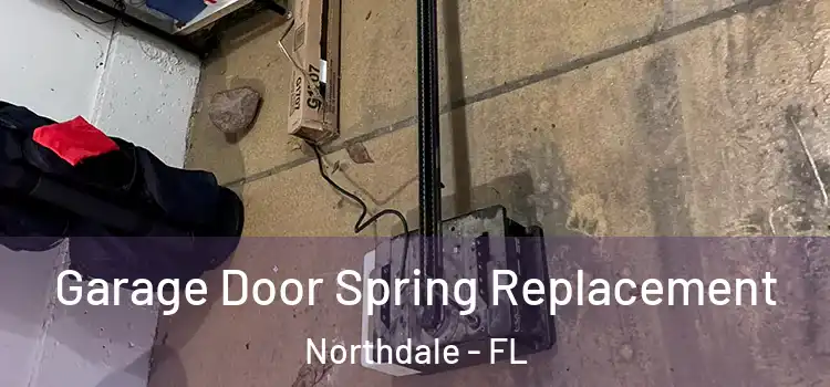  Garage Door Spring Replacement Northdale - FL