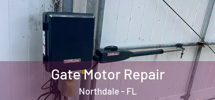  Gate Motor Repair Northdale - FL