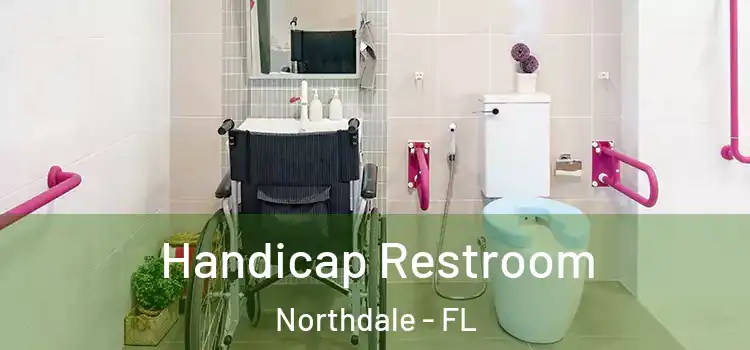  Handicap Restroom Northdale - FL
