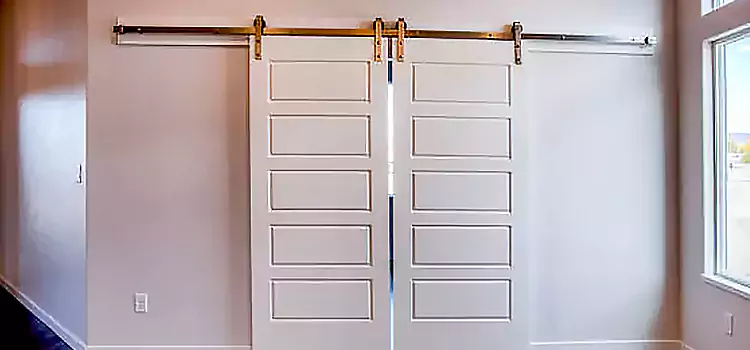 Glass Barn Door with Installation Hardware Kit Northdale