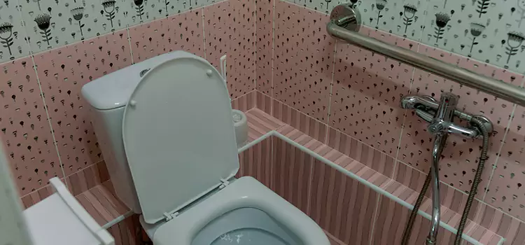 Meeting Diverse Needs With Accessible Restroom Solutions in Northdale, FL