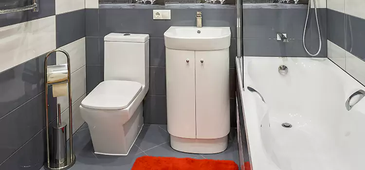 Hansgrohe Shaving Mirror Northdale