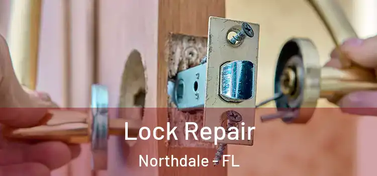  Lock Repair Northdale - FL