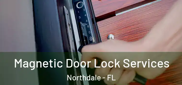  Magnetic Door Lock Services Northdale - FL