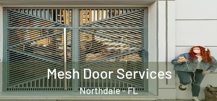 Mesh Door Services Northdale - FL