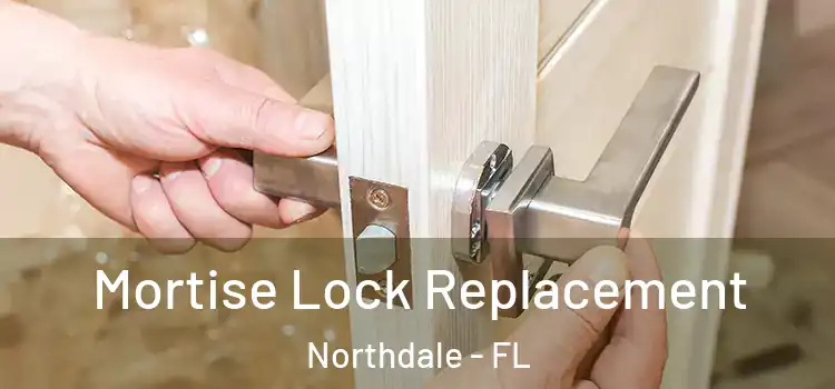 Mortise Lock Replacement Northdale - FL