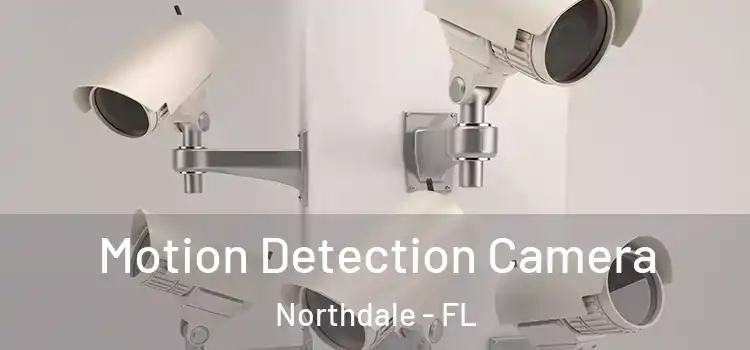  Motion Detection Camera Northdale - FL