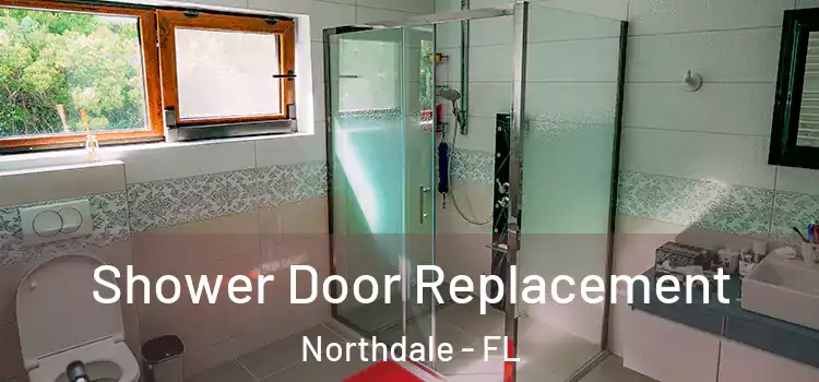 Shower Door Replacement Northdale - FL
