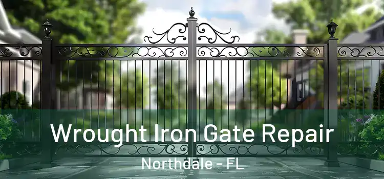 Wrought Iron Gate Repair Northdale - FL